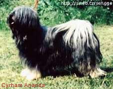Cyrham Ananda
